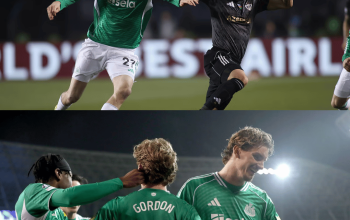 hasil qarabağ vs newcastle united